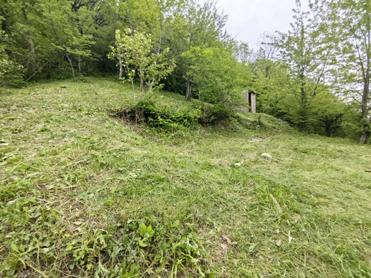 Продам участок 8,04 соток, ИЖС, Лесная ул, 35, Вольное с, 0 км от города