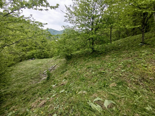 Продам участок 8,04 соток, ИЖС, Лесная ул, 35, Вольное с, 0 км от города