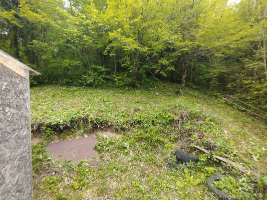 Продам участок 8,04 соток, ИЖС, Лесная ул, 35, Вольное с, 0 км от города