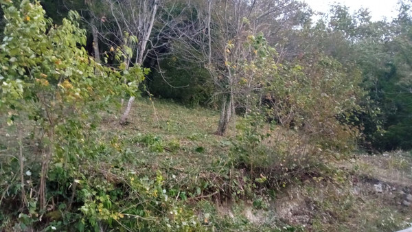 Продам участок 8,04 соток, ИЖС, Лесная ул, 35, Вольное с, 0 км от города