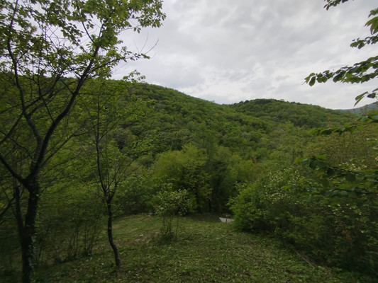 Продам участок 8,04 соток, ИЖС, Лесная ул, 35, Вольное с, 0 км от города