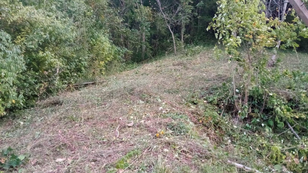 Продам участок 8,04 соток, ИЖС, Лесная ул, 35, Вольное с, 0 км от города