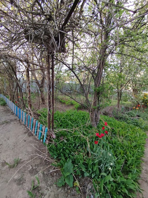 Продам дом, ДНТ Донской сад тер, Волгодонск г, 0 км от города
