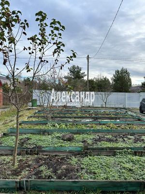 Продам дом в поселке Красновыборжец, 3-я линия, 80, Виза тер. СНТ, 20 км от города