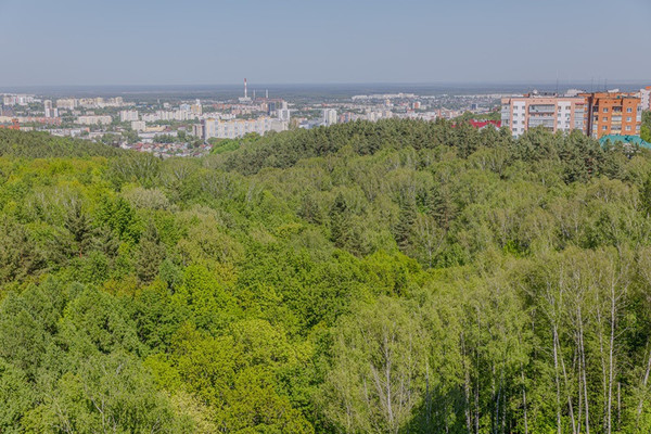 Продам однокомнатную (1-комн.) квартиру, Мира ул, 67, Пенза г