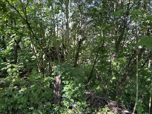 Продам участок 14 соток, Большая Горская (Дудергоф тер.) ул, 3А, Красное Село г, 0 км от города
