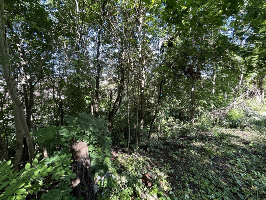 Продам участок 14 соток, Большая Горская (Дудергоф тер.) ул, 3А, Красное Село г, 0 км от города