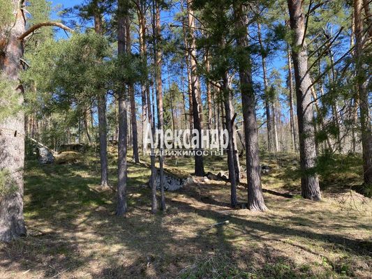 Продам участок 10 соток, Садоводство, Кротово п, 120 км от города