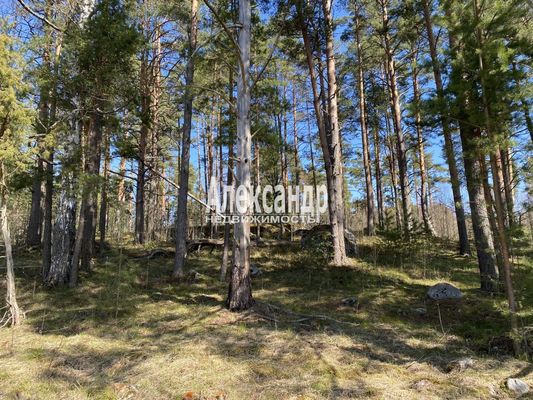 Продам участок 10 соток, Садоводство, Кротово п, 120 км от города