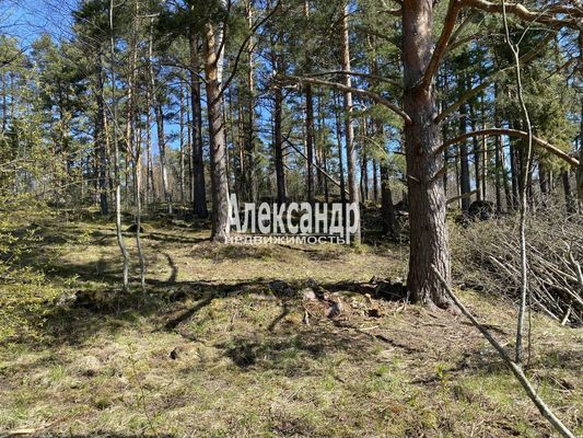 Продам участок 10 соток, Садоводство, Кротово п, 120 км от города