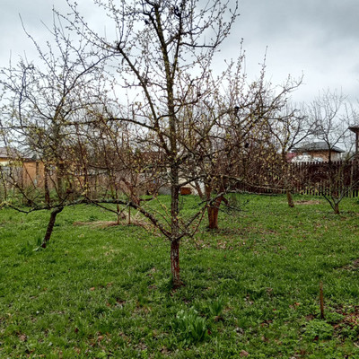 Продам участок 6,18 соток, Фермерское хоз., 13-я линия ул, Пески тер. СНТ, 0 км от города