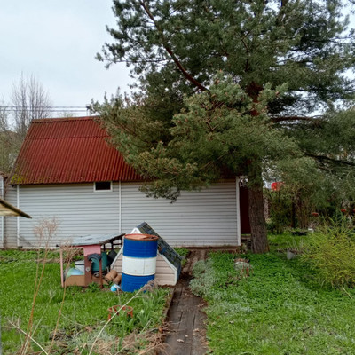 Продам дом, 13-я линия ул, Пески тер. СНТ, 0 км от города