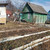 Продам дачу, в районе восточной части с Ново-Талицы тер, 0 км от города