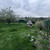Продам участок 6 соток, Фермерское хоз., СНТ Назарьево тер, 0 км от города
