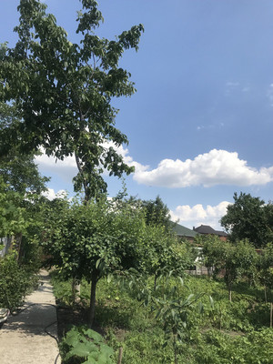 Продам дом, Куйбышева ул, 23, Батайск г, 0 км от города