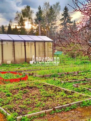Продам дом в поселке Строитель, ЛОС тер. СНТ, 139, Массив Мшинская тер, 90 км от города