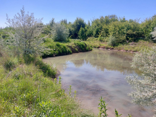 Продам землю для коммерческого использования 300 соток, Фермерское хоз., Комаров х