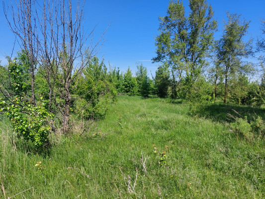 Продам землю для коммерческого использования 300 соток, Фермерское хоз., Комаров х