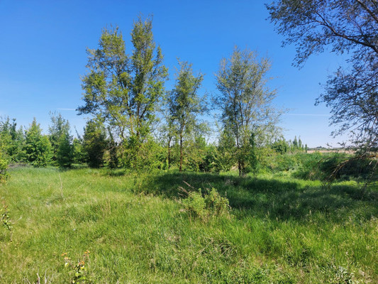 Продам землю для коммерческого использования 300 соток, Фермерское хоз., Комаров х