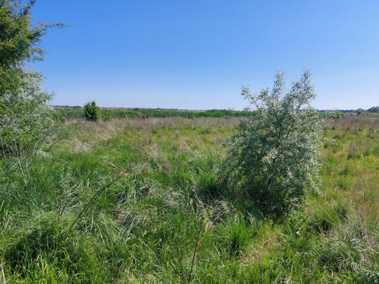 Продам землю для коммерческого использования 300 соток, Фермерское хоз., Комаров х