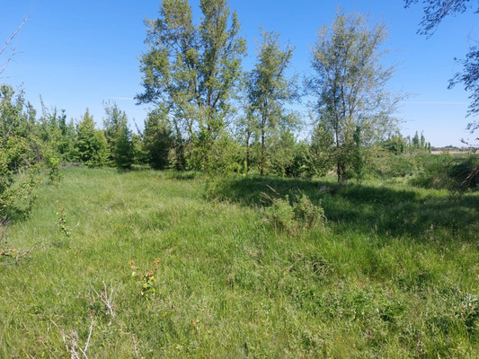 Продам землю для коммерческого использования 300 соток, Фермерское хоз., Комаров х