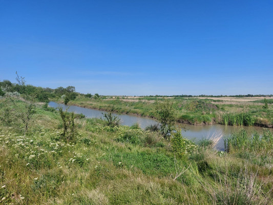 Продам землю для коммерческого использования 300 соток, Фермерское хоз., Комаров х