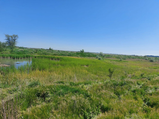 Продам землю для коммерческого использования 300 соток, Фермерское хоз., Комаров х