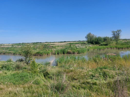 Продам землю для коммерческого использования 300 соток, Фермерское хоз., Комаров х