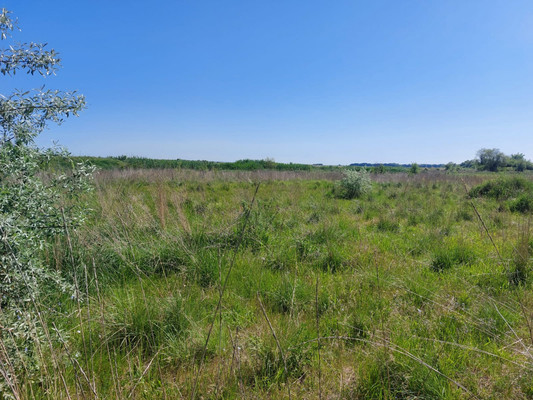 Продам землю для коммерческого использования 300 соток, Фермерское хоз., Комаров х