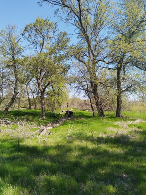 Продам землю для коммерческого использования 150 соток, Садоводство, Раздорская ст-ца