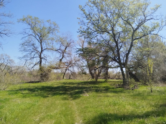 Продам землю для коммерческого использования 150 соток, Садоводство, Раздорская ст-ца