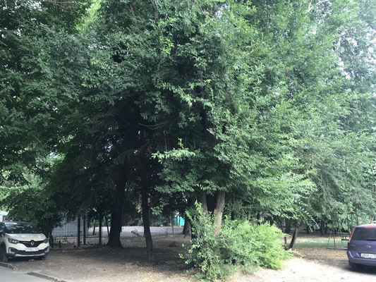Продам трехкомнатную (3-комн.) квартиру, Рабочая пл, 5, Ростов-на-Дону г