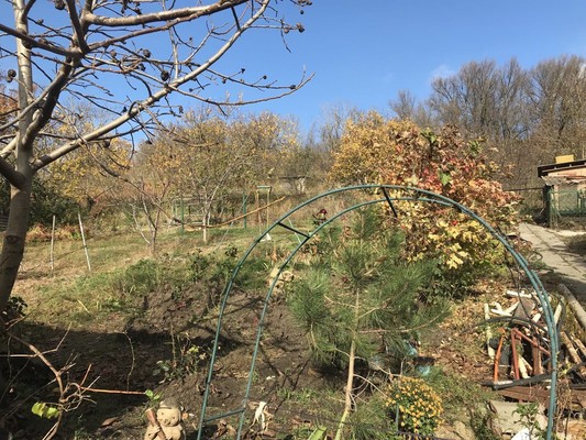 Продам дом, Ленина ул, 455, Синявское с, 0 км от города