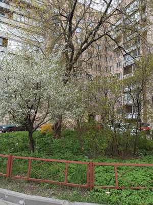 Продам однокомнатную (1-комн.) квартиру, Пискарёвский пр-кт, 52, Санкт-Петербург г