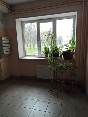 Продам однокомнатную (1-комн.) квартиру, Пискарёвский пр-кт, 52, Санкт-Петербург г
