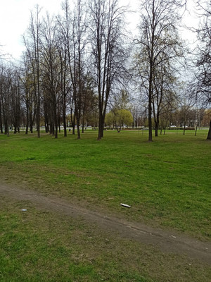 Продам однокомнатную (1-комн.) квартиру, Пискарёвский пр-кт, 52, Санкт-Петербург г