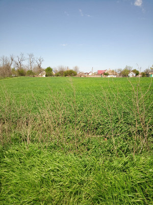 Продам дом, Краснопартизанская ул, 18, Успенская ст-ца, 0 км от города