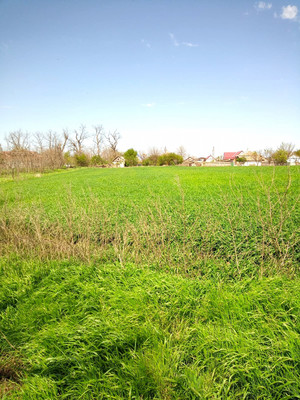 Продам дом, Краснопартизанская ул, 18, Успенская ст-ца, 0 км от города