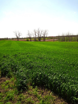 Продам дом, Краснопартизанская ул, 18, Успенская ст-ца, 0 км от города