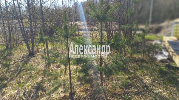 Продам участок 6,83 соток, Садоводство, поселок КП Левада, 1-й проезд, Мендсары д, 40 км от города
