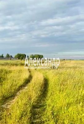 Продам участок 240 соток, ЛПХ, 2А, Русско-Высоцкое с, 15 км от города