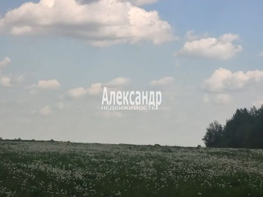 Продам участок 12 соток, ИЖС, Ромашки п, 80 км от города