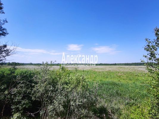 Продам участок 12 соток, ИЖС, Ромашки п, 80 км от города