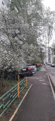 Продам однокомнатную (1-комн.) квартиру, Сергея Акимова ул, 2, Нижний Новгород г