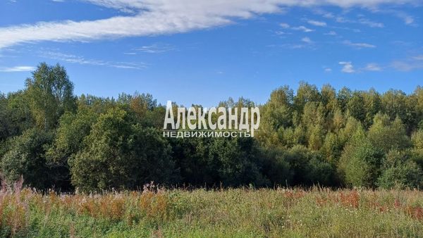 Продам участок 30 соток, ИЖС, Березовая ул, Пятиречье п, 80 км от города