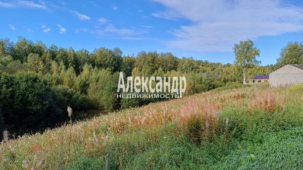 Продам участок 30 соток, ИЖС, Березовая ул, Пятиречье п, 80 км от города