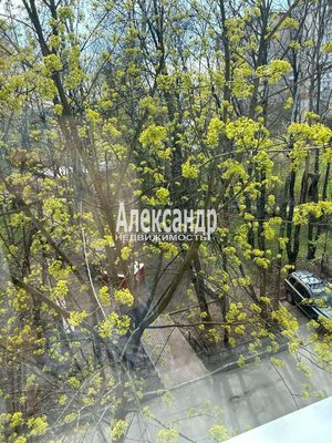 Продам двухкомнатную (2-комн.) квартиру, Ленсовета ул, 89, Санкт-Петербург г