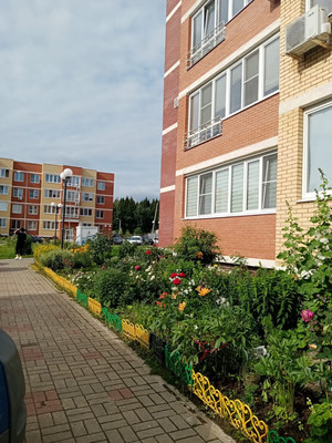 Сдам однокомнатную (1-комн.) квартиру, 5, Высоково д