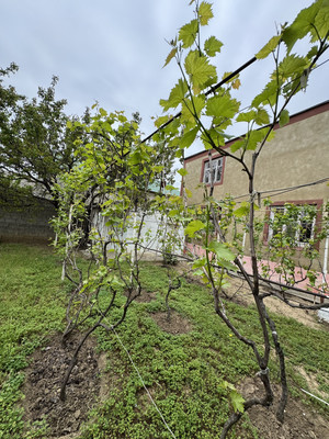 Продам дом, Финиковая ул, 14, Садовод кв-л, 0 км от города