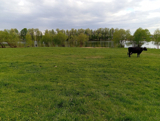 Продам дом, Растуново с, 0 км от города